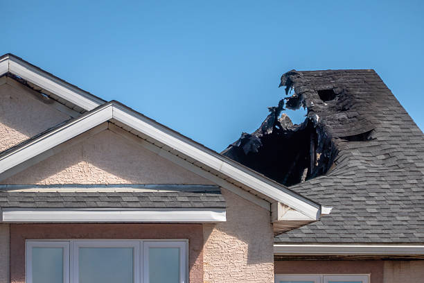Top rated local Board Up Services specialists in Zimmerman, MN